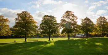 Queens Park trees.jpg